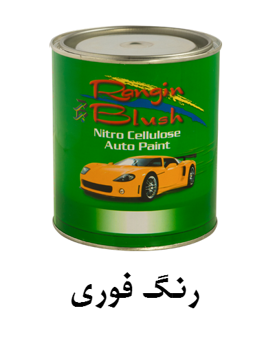 portfolio item name