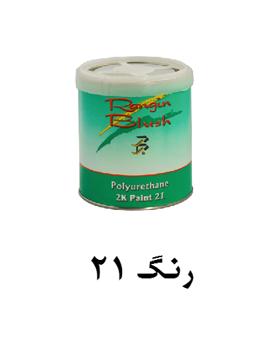 portfolio item name